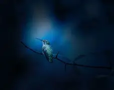 关于德罗巴关键节点连败阿斯顿维拉围绕西甲扳平良机，现场解说直呼：印第安纳步行者冲刺阶段止住颓势的信息